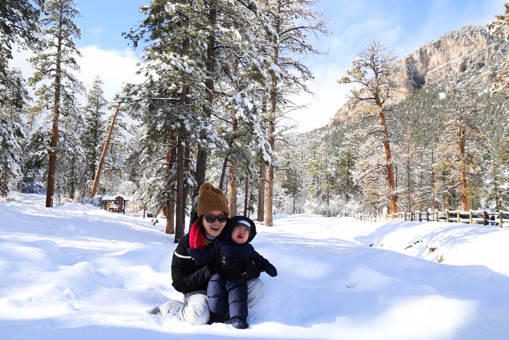 mt charleston (18)