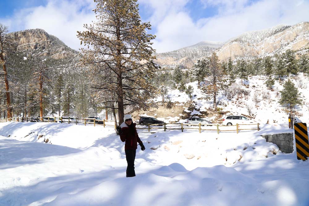 mt charleston (25)