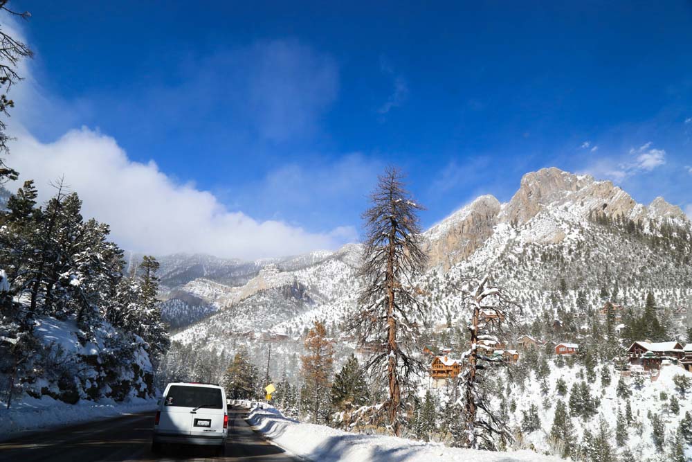 mt charleston (49)