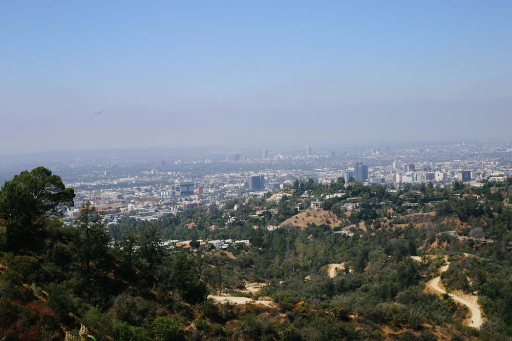 griffith observatory