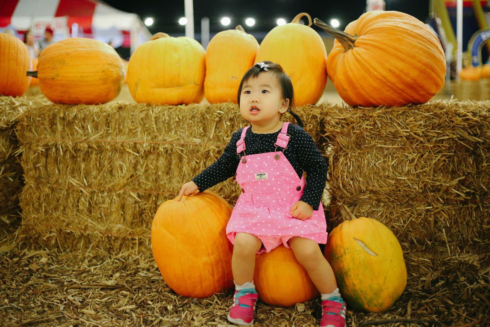 pumpkin patch