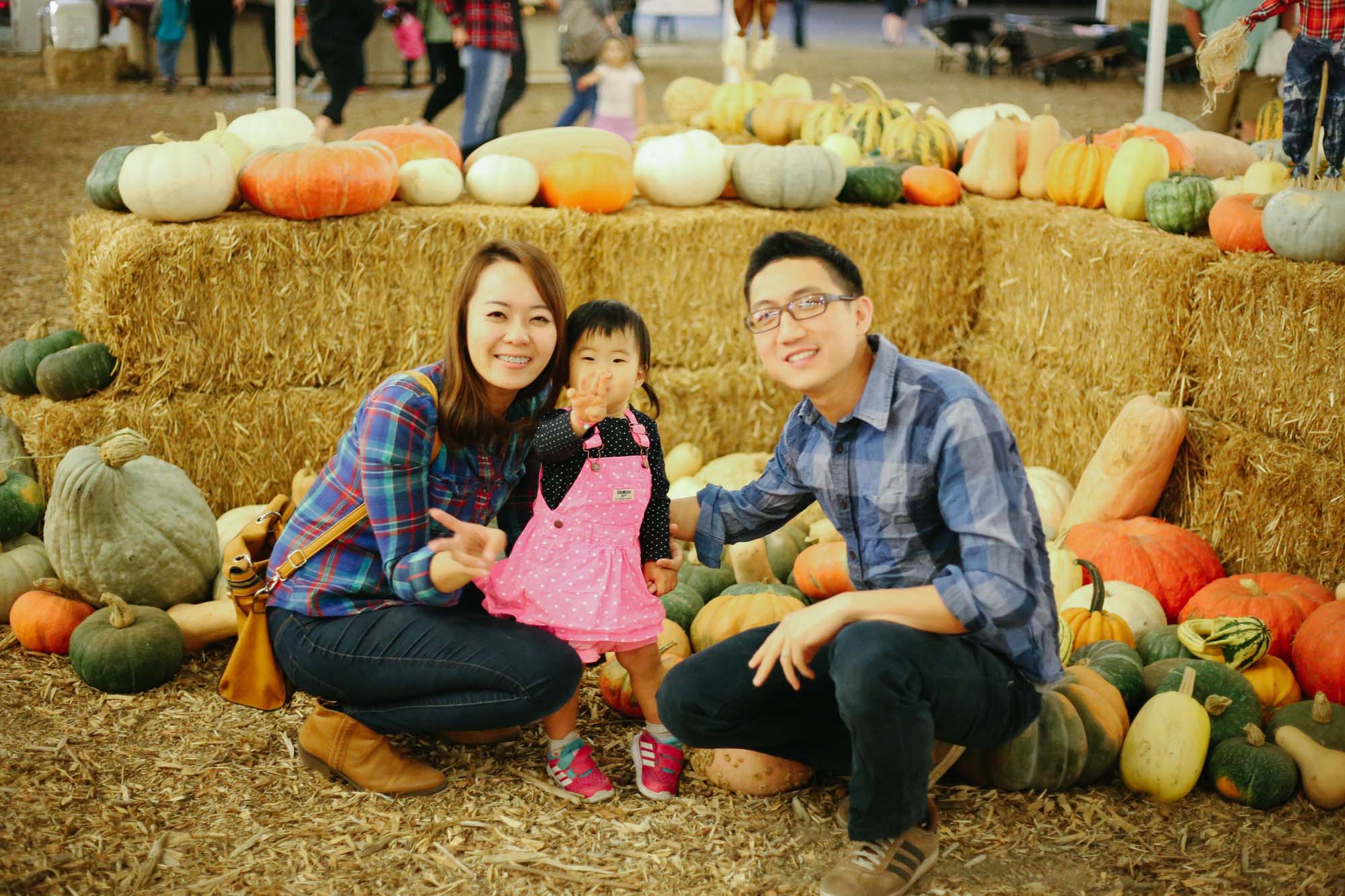 pumpkin patch