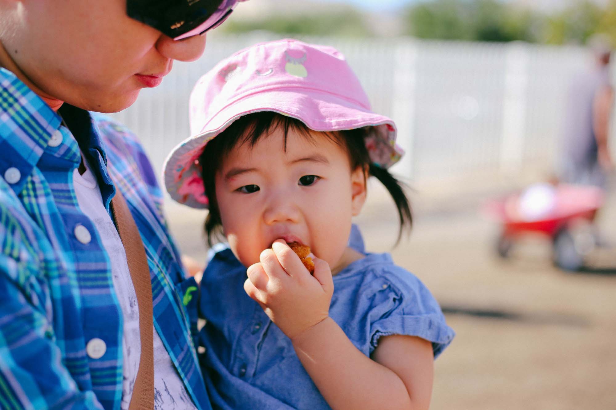 Gilcrease orchard 2016