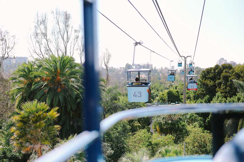 cable car at San Diego Zoo