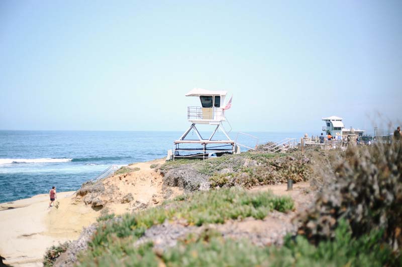 La Jolla 海獅海豹