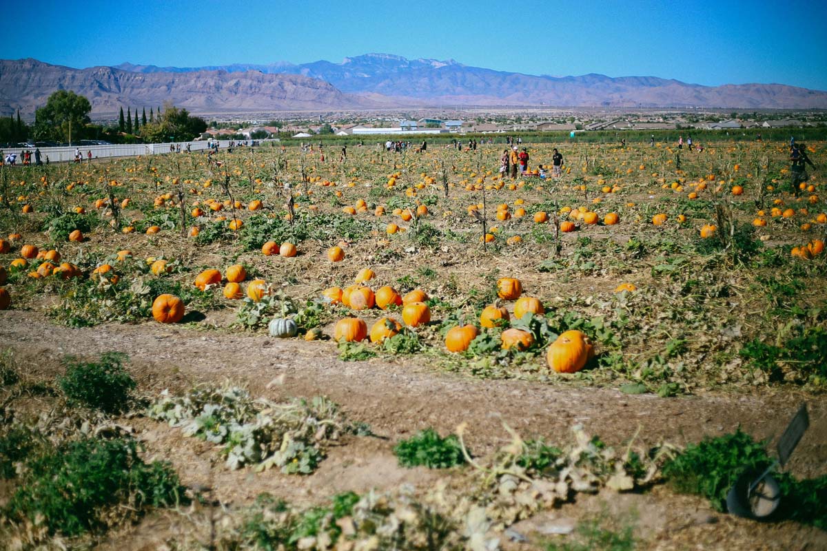 Las Vegas Halloween 2017 