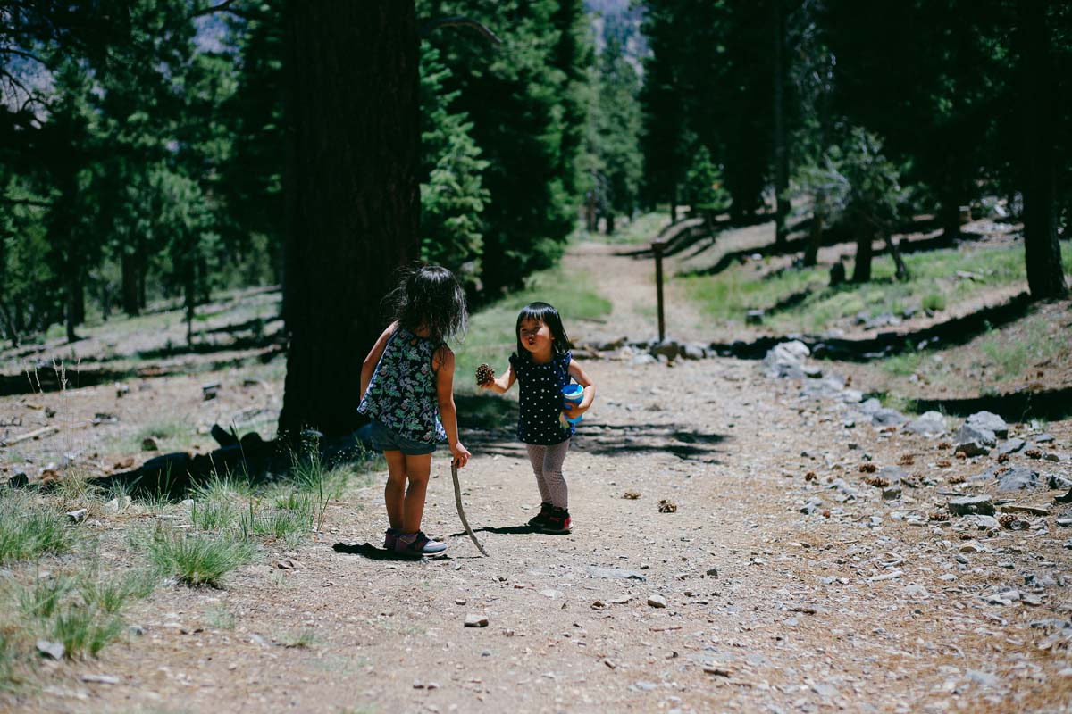 Mt Charleston with friends