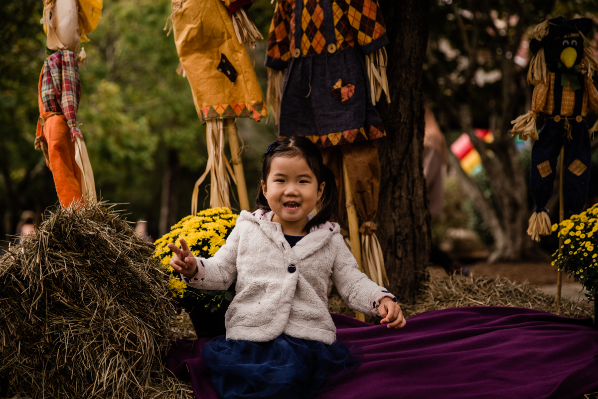 美國南方的萬聖節Halloween in the South